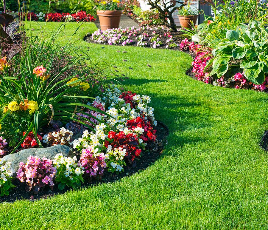 Elag-Paysage-64 | Un paysagiste professionnel au service de vos jardins et parcs